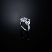 Anello Chiara Ferragni Princess