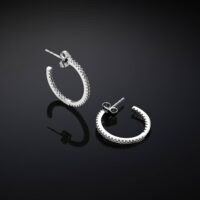 Orecchini Chiara Ferragni Brand Silver Boccole 20mm