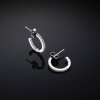 Orecchini Chiara Ferragni Brand Silver Boccole 15mm