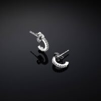 Orecchini Chiara Ferragni Brand Silver Boccole 10mm
