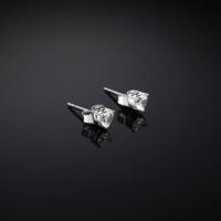 Orecchini Chiara Ferragni Brand Silver Cuore Piccolo