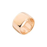Anello Dodo Tell Your Story