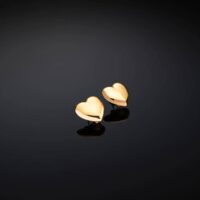 Orecchini Chiara Ferragni Brand Bold