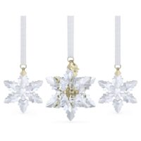 Annual Edition Set Decorazioni Swarovski 3D 2024