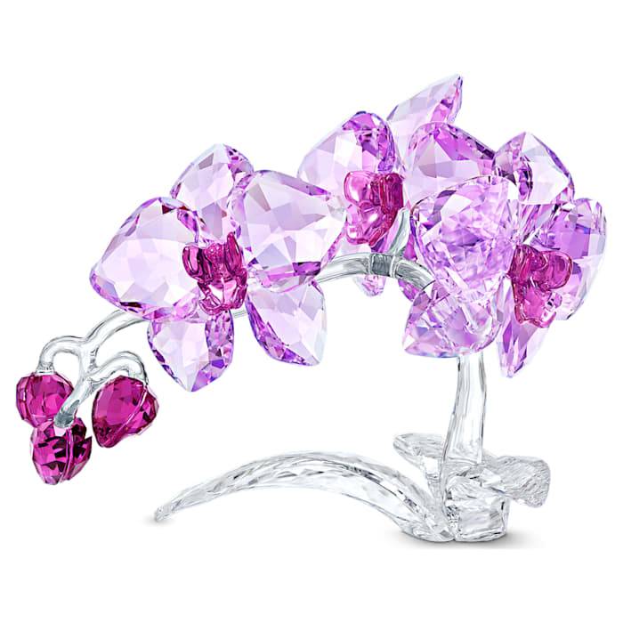 Cristallo Swarovski Orchidea