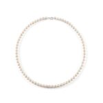 Collana Bliss Shangri–La