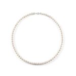 Collana Bliss Shangri–La