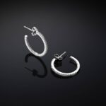 Orecchini Chiara Ferragni Brand Silver Boccole 20mm