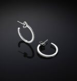 Orecchini Chiara Ferragni Brand Silver Boccole 20mm