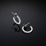 Orecchini Chiara Ferragni Brand Silver Boccole 15mm