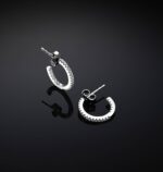 Orecchini Chiara Ferragni Brand Silver Boccole 15mm