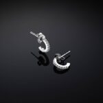 Orecchini Chiara Ferragni Brand Silver Boccole 10mm