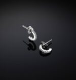 Orecchini Chiara Ferragni Brand Silver Boccole 10mm