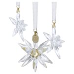 Annual Edition Set Decorazioni Swarovski 3D 2025 - immagine 3