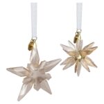 Annual Edition Festive Set Decorazioni Swarovski 3D 2025 - immagine 3