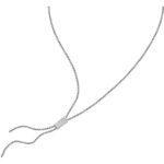 Collana Trussardi T-Design